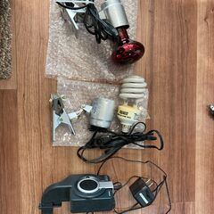 爬虫類飼育セット（水槽・ライト等すぐに飼育可！）の画像