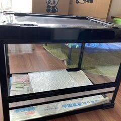 爬虫類飼育セット（水槽・ライト等すぐに飼育可！）