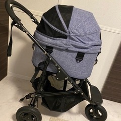 エアバギーフォードッグ