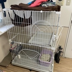 猫ゲージ