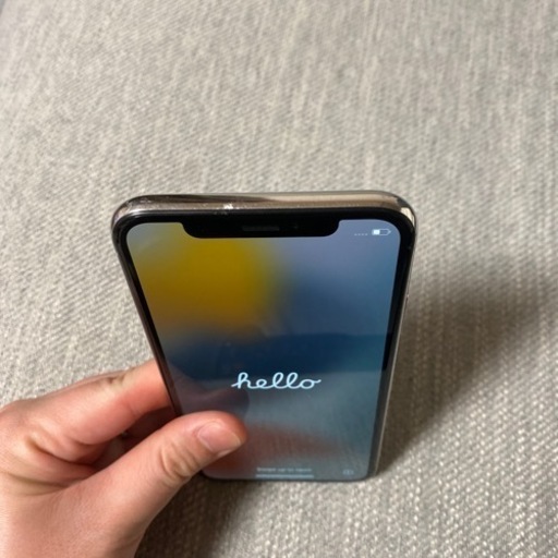 iPhone X