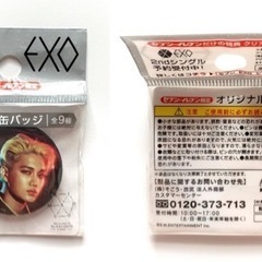 EXO カイ 缶バッジ キーホルダー セットの画像