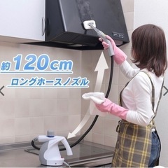 アイリスオーヤマ スチームクリーナー コンパクトタイプ STM-304Wの画像