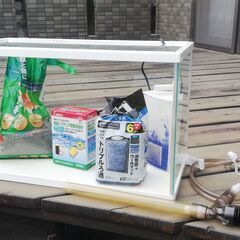 魚飼育セット