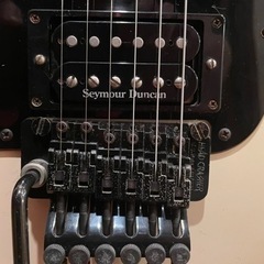 レフティギター FERNANDES THE FUNCTIONの画像