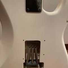 レフティギター FERNANDES THE FUNCTIONの画像