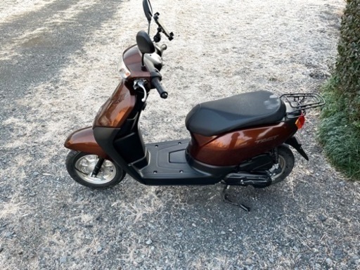 157.  高年式　タクト ベーシック　原付　バイク　50cc   車体