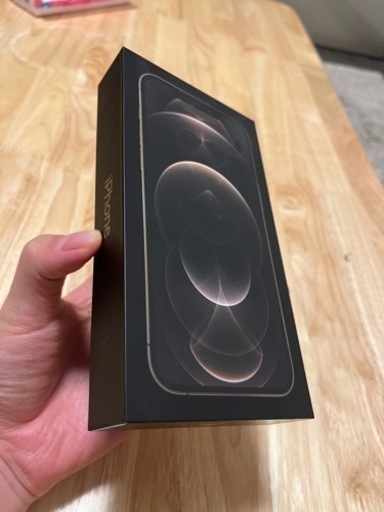 iPhone12ProMax 256GB MGD13J/A 国内Simフリー版