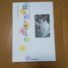 猫たちの恩返し