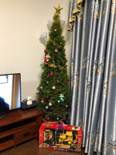 ヒノキ　松　メリクリスマスツリー