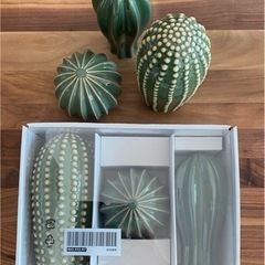 IKEA 雑貨　サボテン