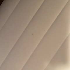 無印良品シングルベッド差し上げますの画像