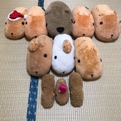 カピバラぬいぐるみ！