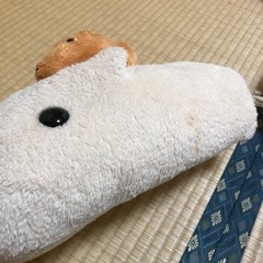 カピバラぬいぐるみ！の画像