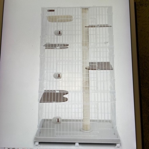 販売済み　　キャットランドゲージワイド　　移動可能