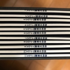 パイオニアレーザーディスクCLD616+マクロスメモリアルボックスの画像