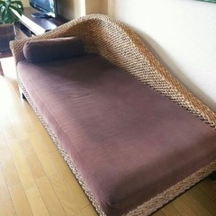 神戸市内お届け ウォーターヒヤシンス GRACE NOTE ソフ...
