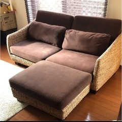 神戸市内お届けします ウォーターヒヤシンス GRACE NOTE...