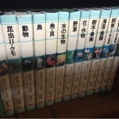 原色ワイド図鑑 全巻セットの画像