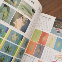 原色ワイド図鑑 全巻セットの画像