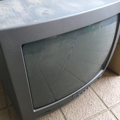 テレビ
