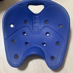 販売完了　バックジョイ　backjoy ブルー