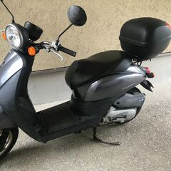 HONDA TODAY R7.4まで自賠責付　原付【各種整備済】
