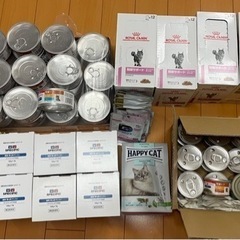 猫 腎臓食色々 ヒルズｋｄ缶、スペシフィックFKW、ロイヤルカナ...