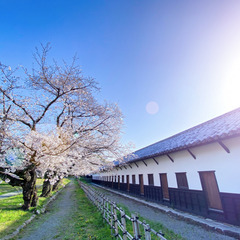 サクラの福岡城と大濠公園を歴史散歩、マリリン・モンローのロイヤル...