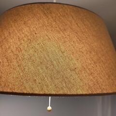 ニトリ ランプシェード 60W LED 電球付きの画像