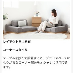 【さらに値下げ】ローソファ　モダンデコの画像