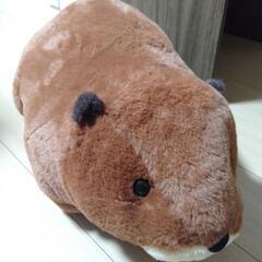 むっちりビーバー　ぬいぐるみ