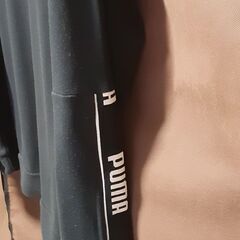 PUMAトレーナーの画像