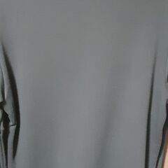 PUMAトレーナーの画像