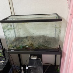 バラ売り可　水槽無料　60センチ水槽セット　⚠️水漏れ有