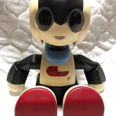 【受け渡し予定者様、決まりました！】ロビジュニア