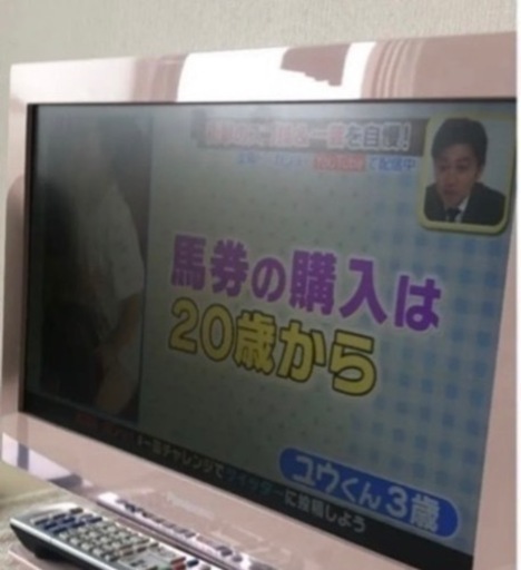 Panasonic 19インチ　ピンクテレビ