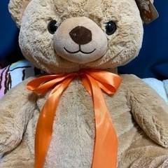 クマのぬいぐるみ