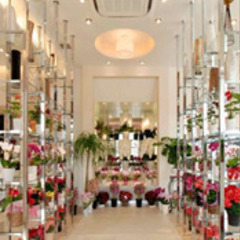 【鹿屋市笠之原町】月・火・金出れる人歓迎★お花屋さん【未経験歓迎】の画像
