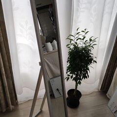 スタンドミラーの画像