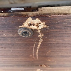 商談中　昭和レトロ 和箪笥 和タンス お譲りいたします。の画像