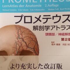 解剖学プロメテウス