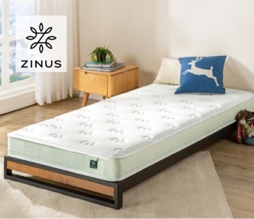 ローベッド (フレームのみ)シングルサイズ すのこ スチール シンプル 北欧  ◆２セット◆