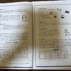 ゴールデンレトリバー里親募集!! − 奈良県