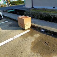 雛人形　ひな人形の画像