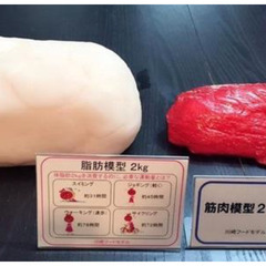 500円でダイエット！の画像