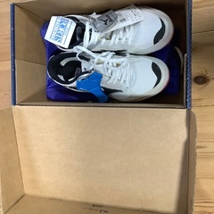 未使用品　アルシオーネ　22センチ　スポーツ 陸上スパイク の画像