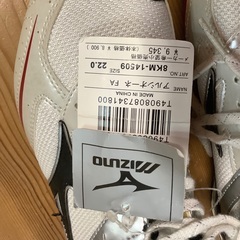 未使用品　アルシオーネ　22センチ　スポーツ 陸上スパイク の画像