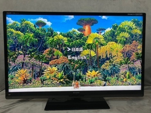 シャープ　SHARP クアトロン3D 液晶テレビ　50型　AQUOS  録画機能外付けHDD対応　世界の亀山モデル　2011年製