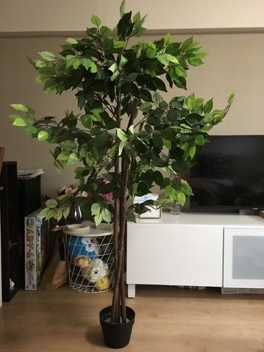 人工観葉植物、フェイクグリーン　鉢カバー付き